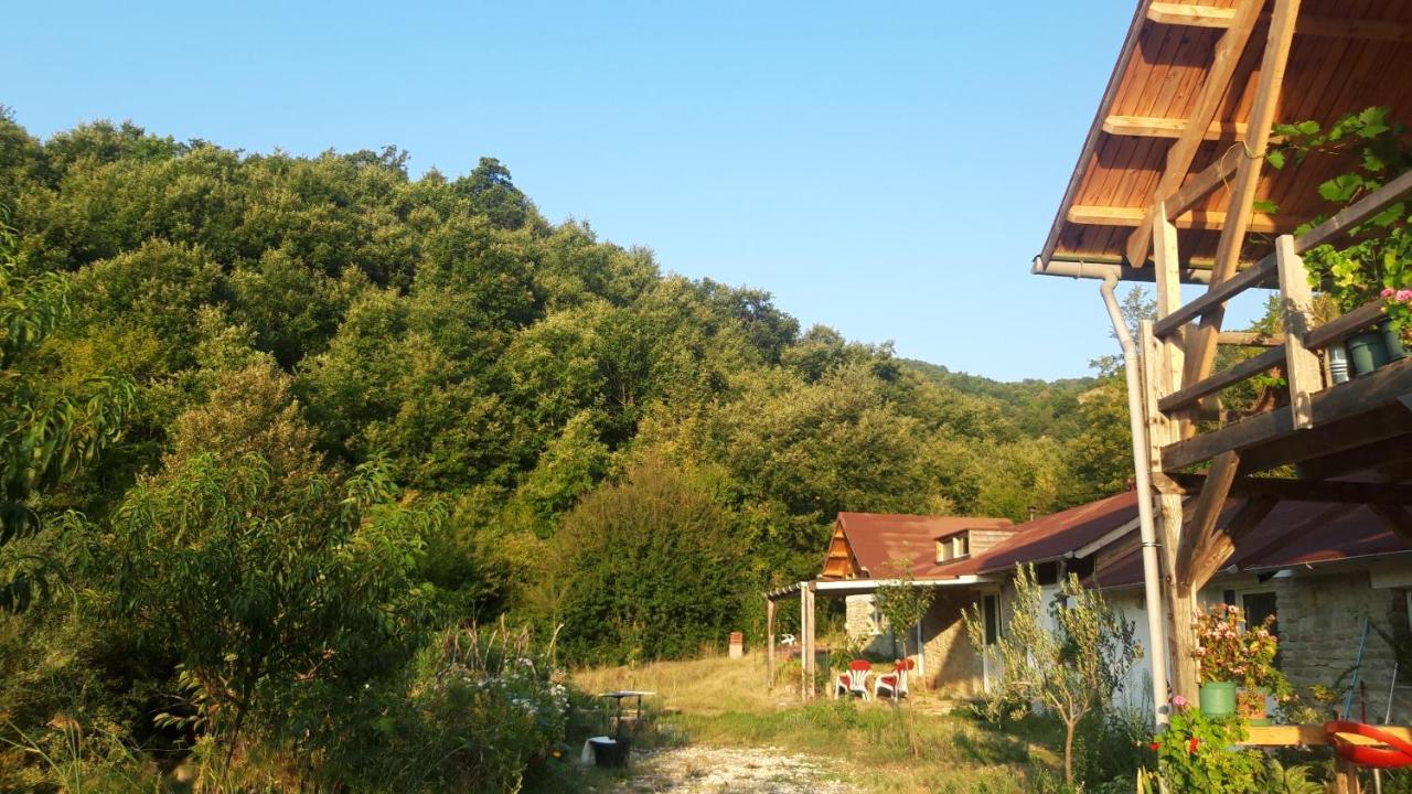 Ferma Albanik Hotel Kelcyre ภายนอก รูปภาพ